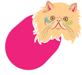 background shape
