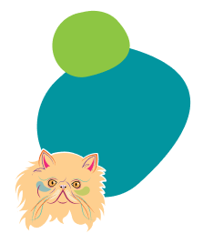 background shape